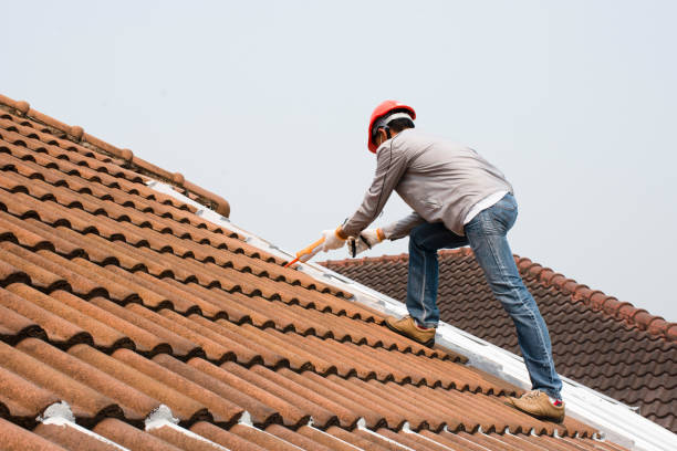 Best Gutter Installation and Repair  in Union City, TN